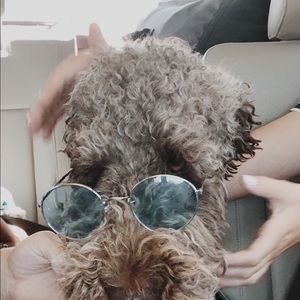 Meet your Posher, Abigail